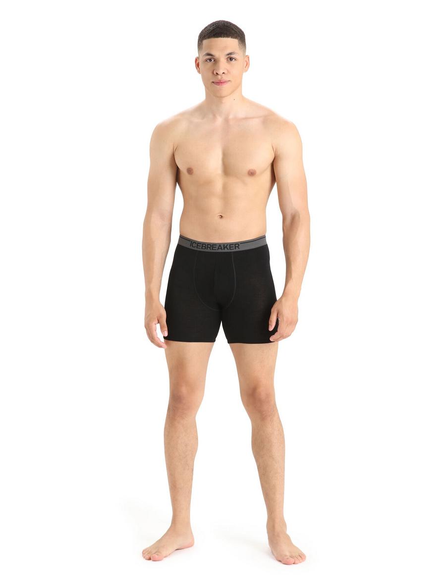 Icebreaker Merino Anatomica Long Boxers Férfi Fehérnemű Fekete | HU 1285TCEV